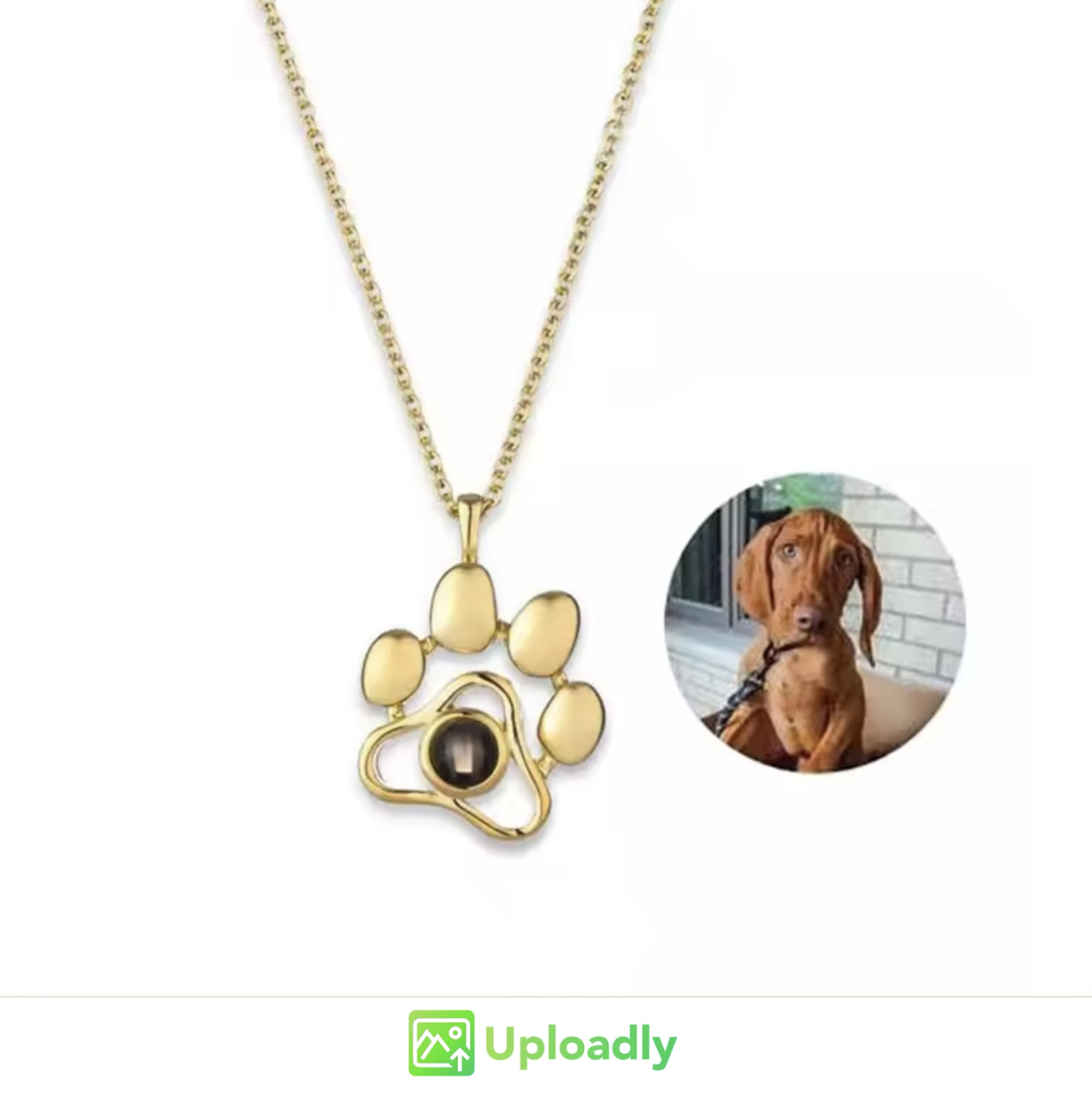 Apply a circle crop to an uploaded image